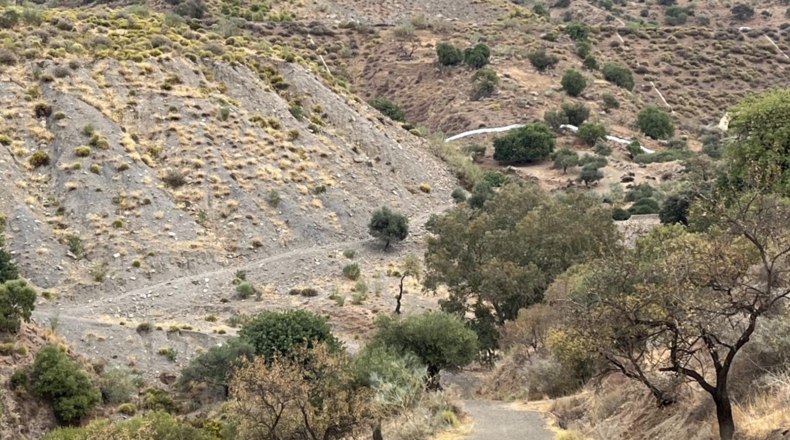 Málaga - Málaga - 42000m2