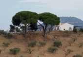 Sòl urbà en venda a la LAGAR CARRASCO PP R7 POLIGONO 10-PARCELA 123, Màlaga, ref.: TR72576 foto