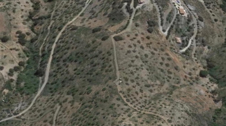 Málaga - Málaga - 1600m2