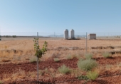 Land suitable for development for sale on CR-6031, Membrilla, ref: TR89784 photo