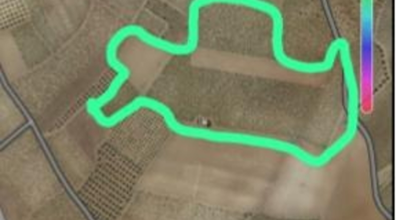 Toledo - El Toboso - 60000m2