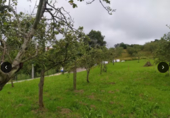 Parcel·la urbanitzable en venda a la Pañeda-Nueva, Pañeda Nueva, ref.: TR89812 foto