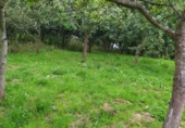 Parcel·la urbanitzable en venda a la Pañeda-Nueva, Pañeda Nueva, ref.: TR89812 foto