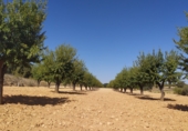 Non-developable land for sale on Quitapellejos, Fuensanta, ref: TR89819 photo