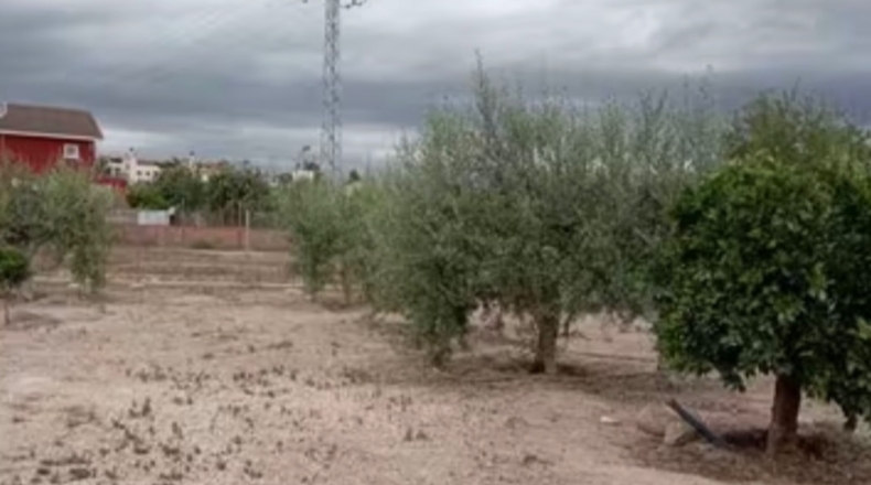 Murcia - Murcia - 1060m2