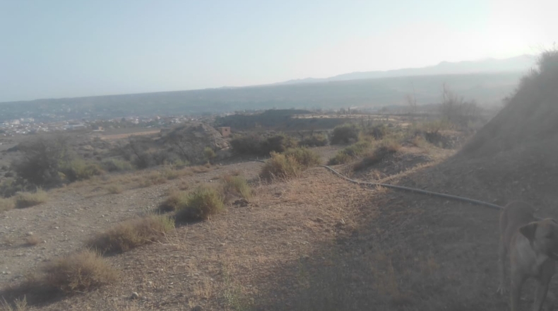 Granada - Guadix - 170000m2
