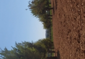 Non-developable land for sale on Quitapellejos, Fuensanta, ref: TR89819 photo