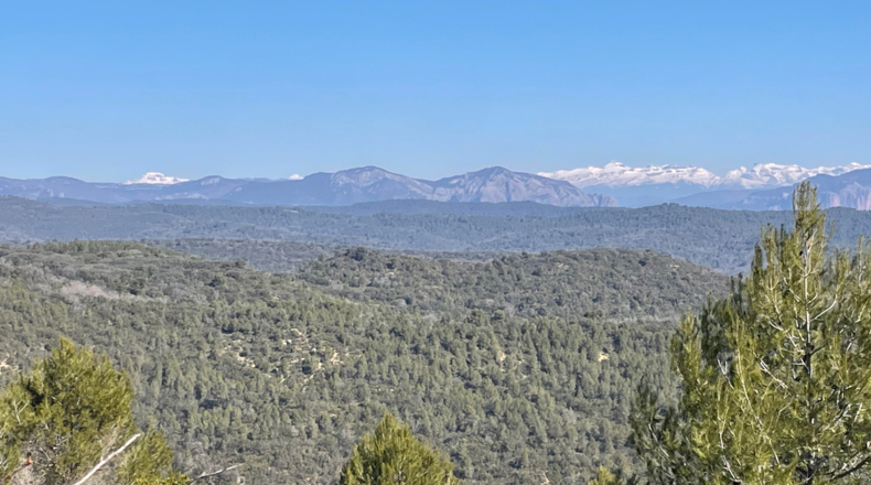 Zaragoza - Luna - 9306800m2