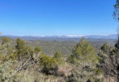 Terreny amb ruïnes en venda a la Luna, ref.: TR89920 foto