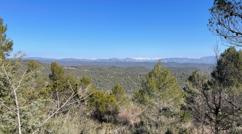 Zaragoza - Luna - 9306800m2