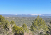 Terreny amb ruïnes en venda a la Luna, ref.: TR89920 foto