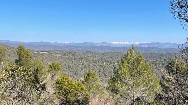 Zaragoza - Luna - 9306800m2