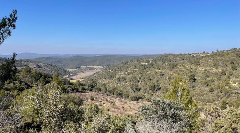 Zaragoza - Luna - 9306800m2