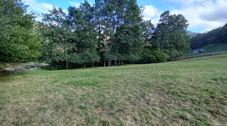 Cantabria - Viaña - 12000m2