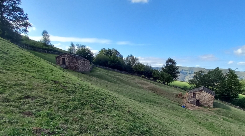 Cantabria - Viaña - 12000m2
