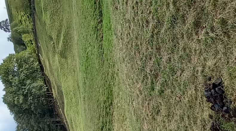 Cantabria - Viaña - 12000m2