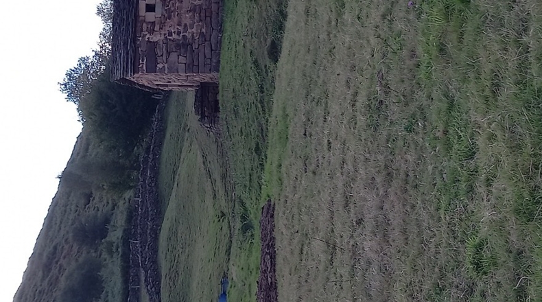 Cantabria - Viaña - 12000m2