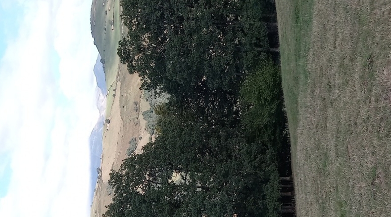 Cantabria - Viaña - 12000m2