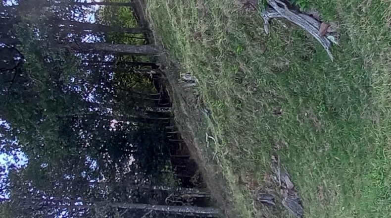 Cantabria - Viaña - 12000m2