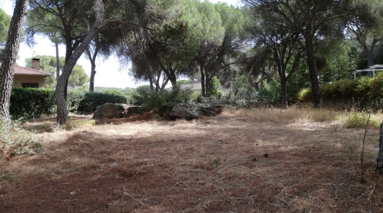 Toledo - Almorox - 1000m2