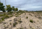 Suelo urbano en venta en la CL PASCUAL Y GENIS 45, Benaguasil, ref: TR90352 foto