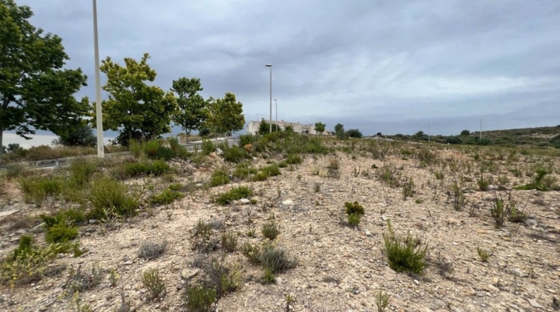 Valencia - Benaguacil - 487m2