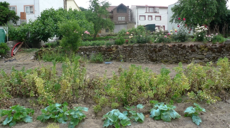 Cáceres - Casas del Monte - 860m2