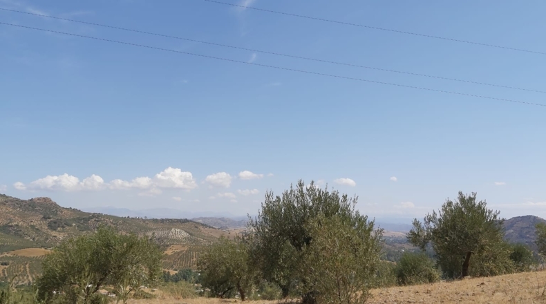 Málaga - Guaro - 5545m2