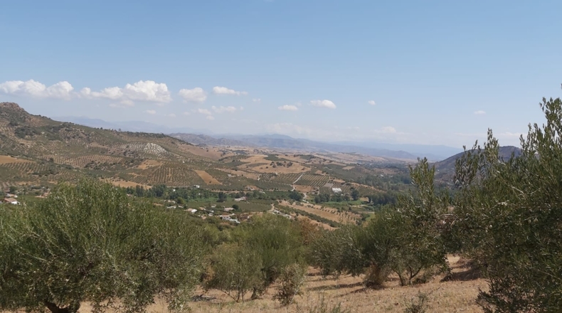 Málaga - Guaro - 5545m2