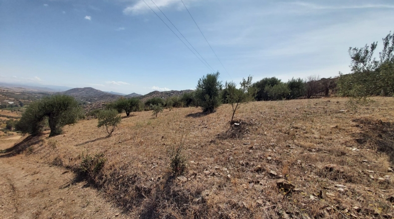 Málaga - Guaro - 5545m2