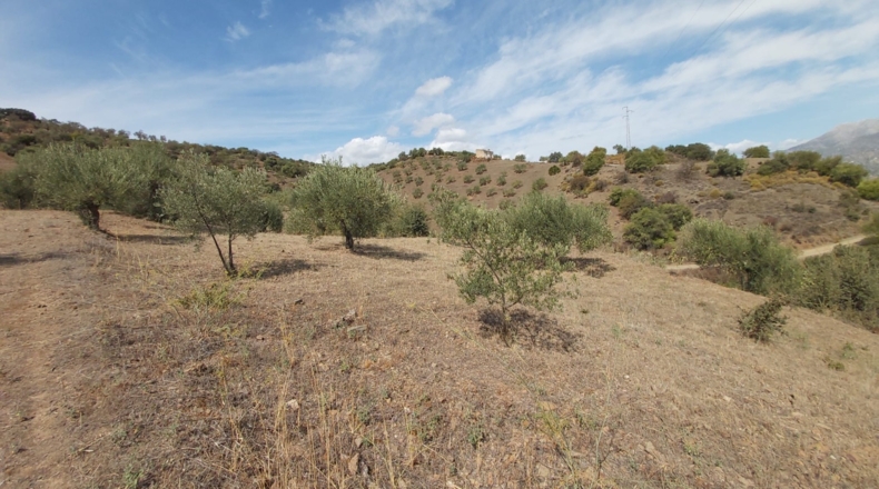 Málaga - Guaro - 5545m2
