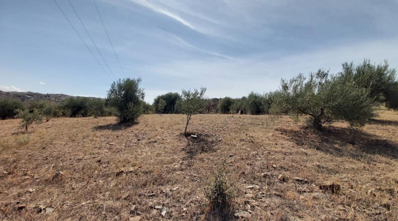 Málaga - Guaro - 5545m2