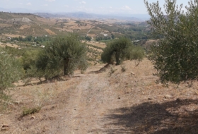 Foto 18