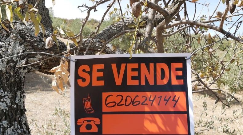 Málaga - Guaro - 5545m2