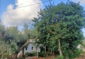 Фермерский дом с участком на продажу в городе Vinaròs Фото