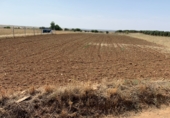 Terreno no urbanizable en venta en la CHINCHÓN, Chinchón, ref: TR90067 foto