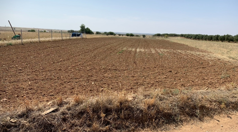 Comunidad de Madrid - Chinchón - 5100m2