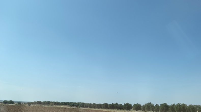 Comunidad de Madrid - Chinchón - 5100m2