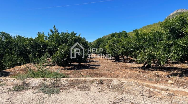 Valencia - Palma de Gandía - 16600m2