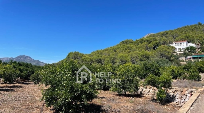 Valencia - Palma de Gandía - 16600m2