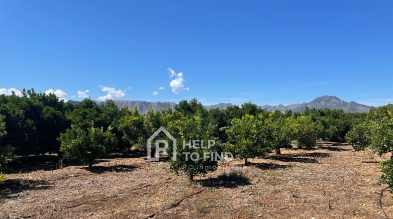 Valencia - Palma de Gandía - 16600m2