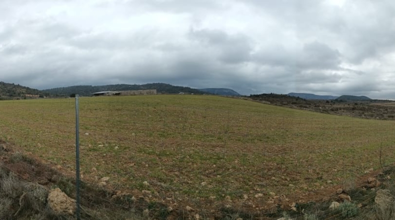 Cuenca - Priego - 63078m2