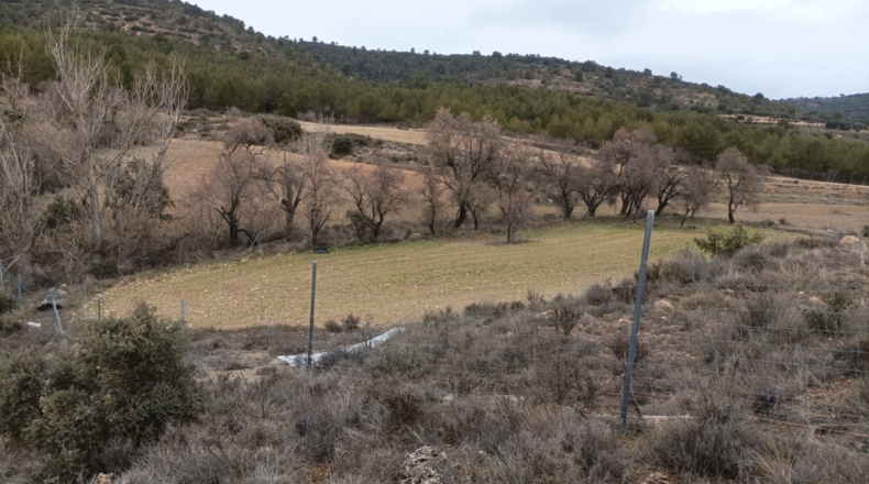 Cuenca - Priego - 63078m2
