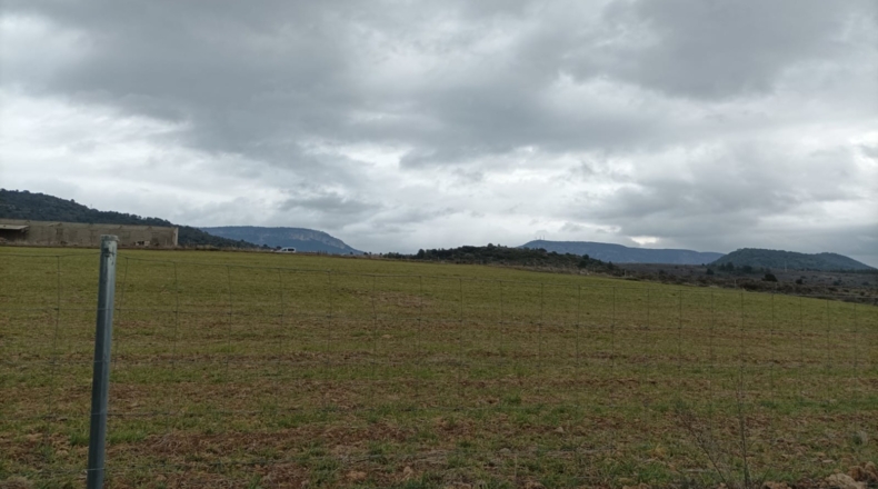 Cuenca - Priego - 63078m2