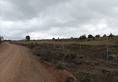 Industrial warehouse for sale on DS CARRETERA Polígono 516 Parcela 15 HOCINO, Priego, ref: TR90490 photo