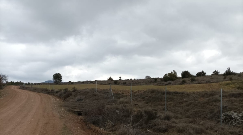 Cuenca - Priego - 63078m2