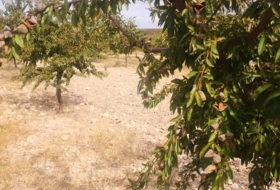 Lorca 150000&nbsp;m²