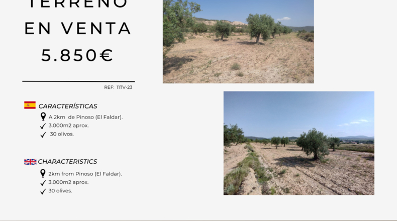 Alicante - Pinoso - 3000m2