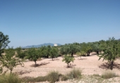 Terreny amb garatge en venda a la Ubeda, el Pinós, ref.: TR90793 foto