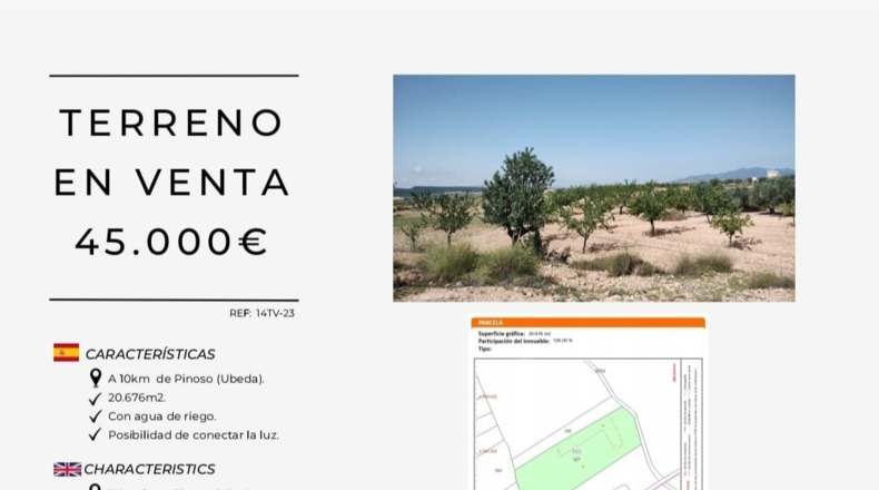 Alicante - Pinoso - 20600m2